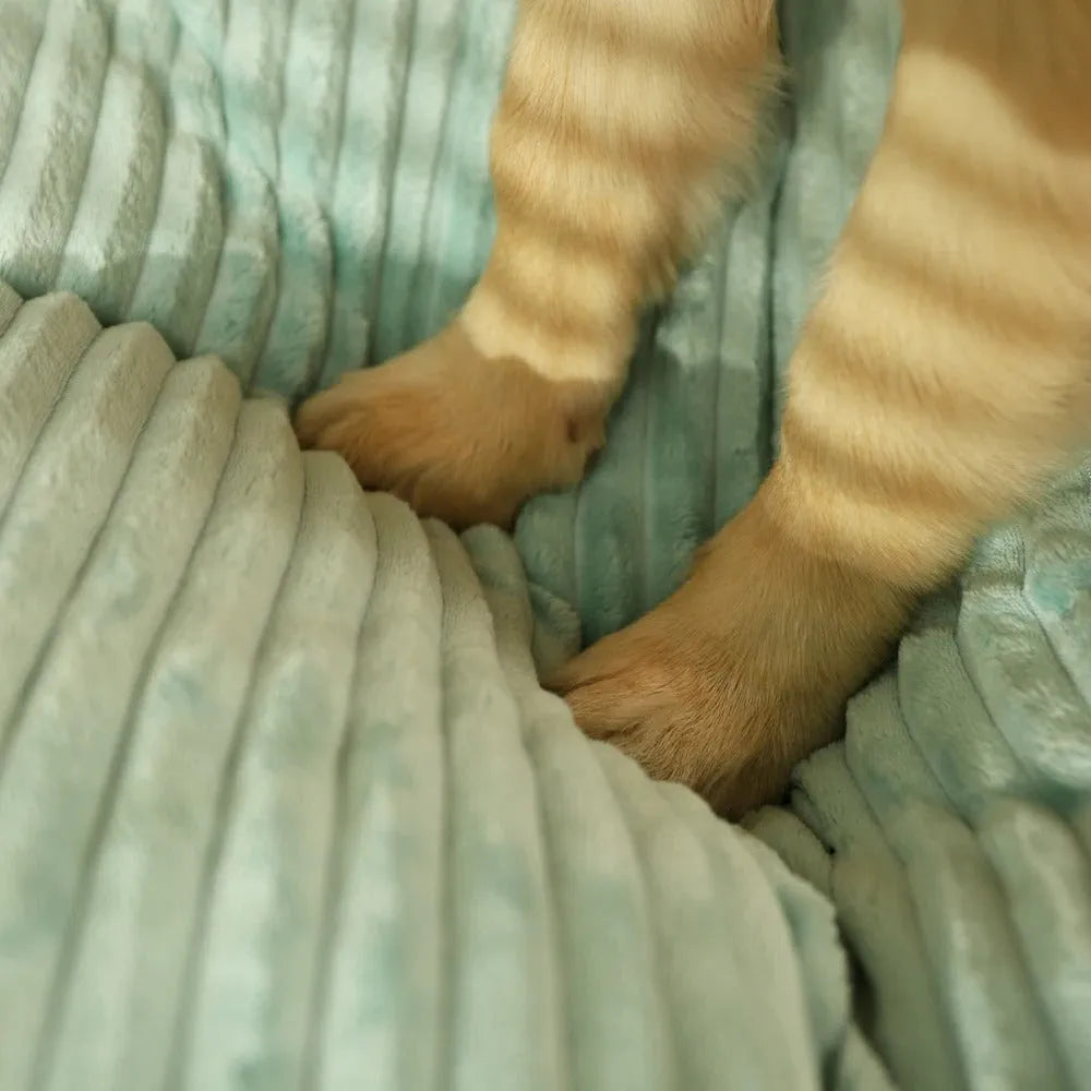 Orthopedic Dog Bed for Large & Small Dogs | Washable Dog Cushion | WuffNest