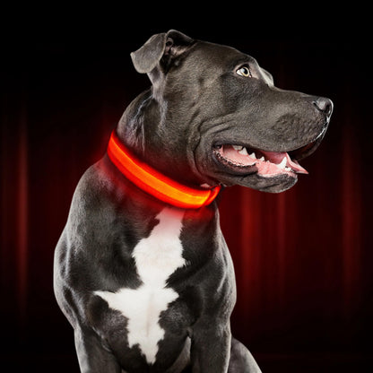 Glow Collar for Dogs | LED Dog Collar | GlowHund