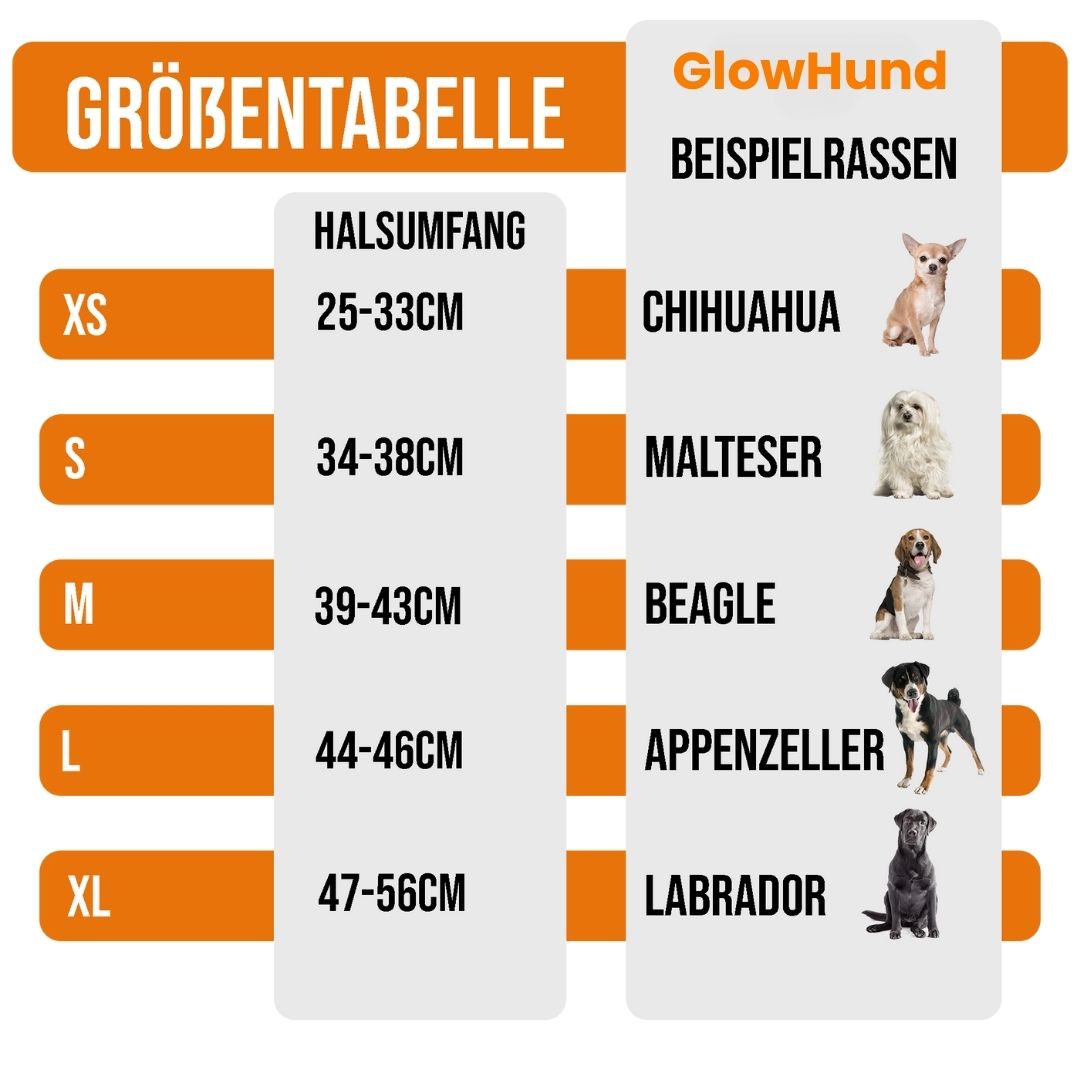 Glow-Halsband für Hunde | LED-Hundehalsband | GlowHund
