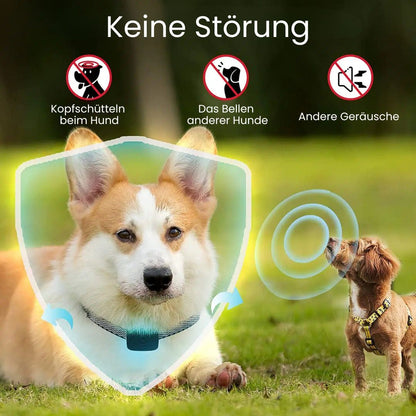 Dog Bark Collar | Anti Bark Collar for Dogs | BellFrei