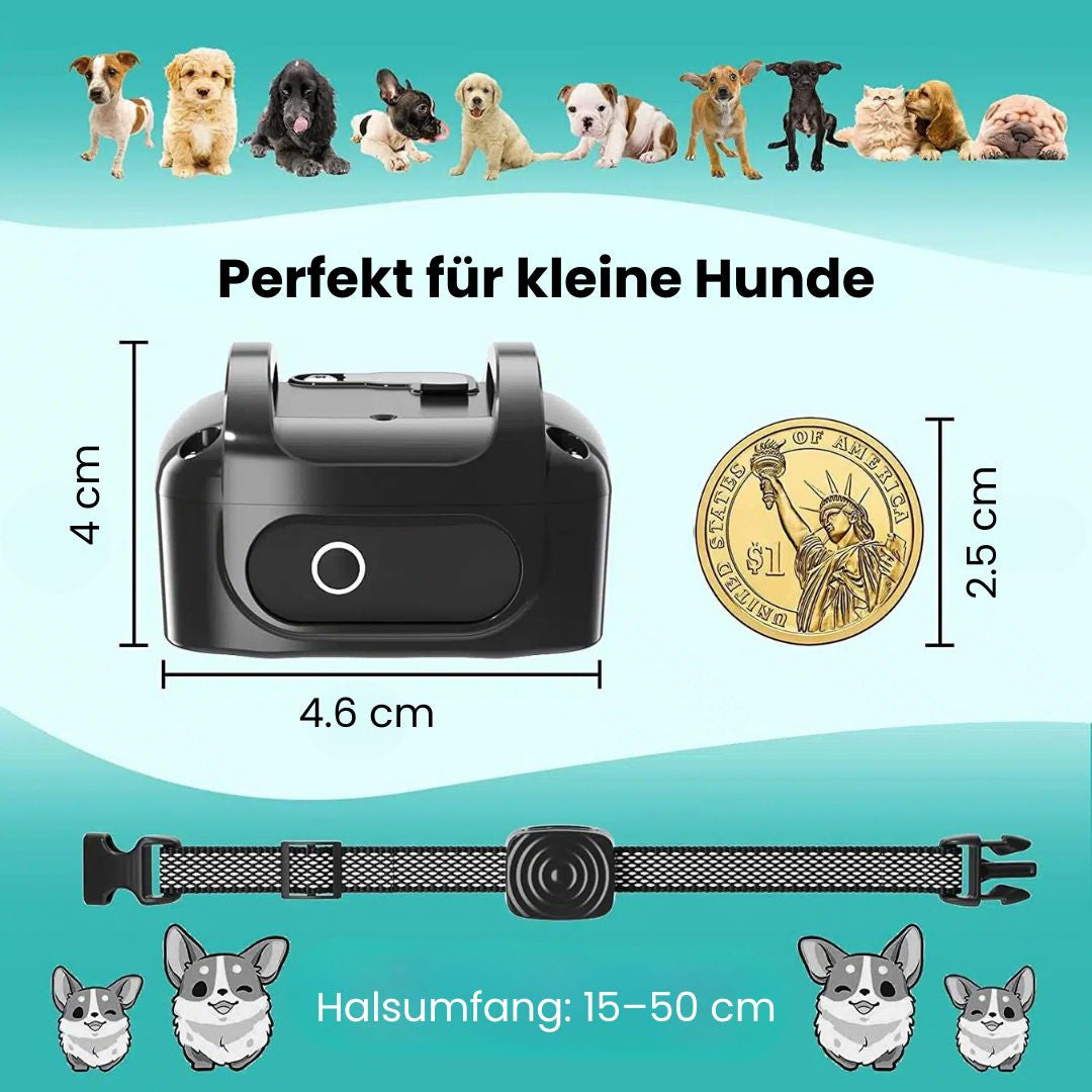 Dog Bark Collar | Anti Bark Collar for Dogs | BellFrei