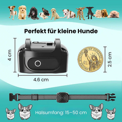 Dog Bark Collar | Anti Bark Collar for Dogs | BellFrei