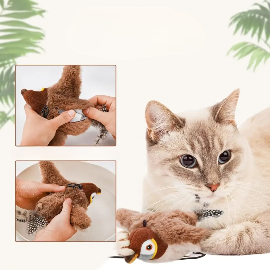 Cat Toy | Fluttering Bird Cat Toy | Interactive and Fun | Miaulino