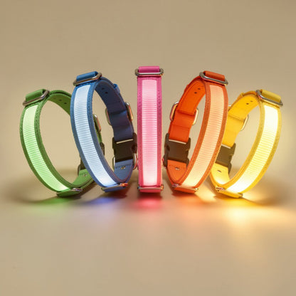 Glow Collar for Dogs | LED Dog Collar | GlowHund