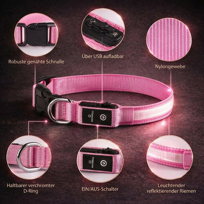 Glow Collar for Dogs | LED Dog Collar | GlowHund