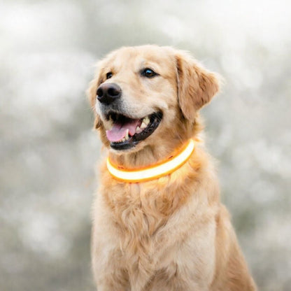 Glow-Halsband für Hunde | LED-Hundehalsband | GlowHund