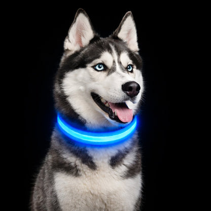Glow Collar for Dogs | LED Dog Collar | GlowHund