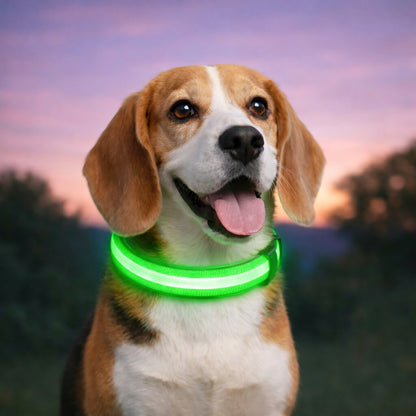 Glow Collar for Dogs | LED Dog Collar | GlowHund