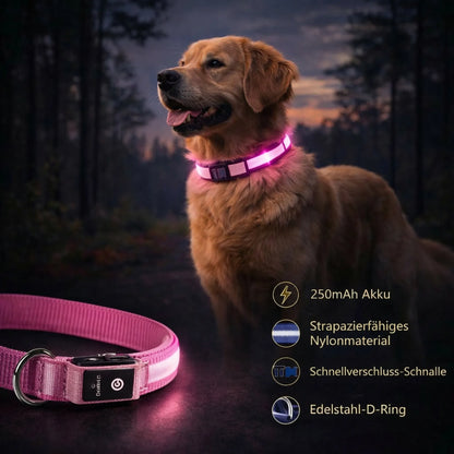 Glow Collar for Dogs | LED Dog Collar | GlowHund