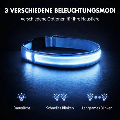 Glow Collar for Dogs | LED Dog Collar | GlowHund