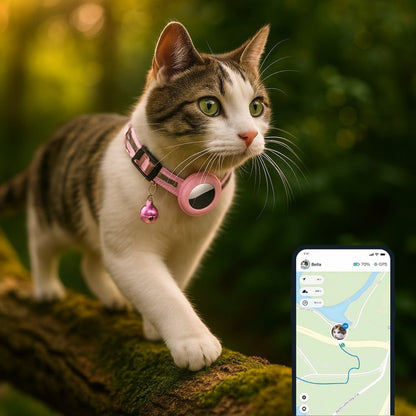 Cat Collar with GPS & Bell | MiauTrack