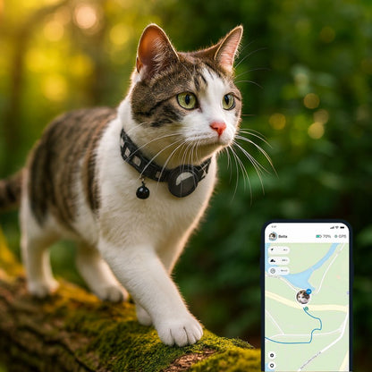 Cat Collar with GPS & Bell | MiauTrack
