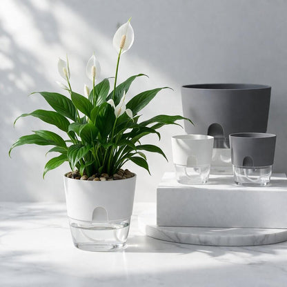 Self-Watering Flower Pot with Water Reservoir | Plant Pot with Wick System for Indoor and Outdoor | Dochtara