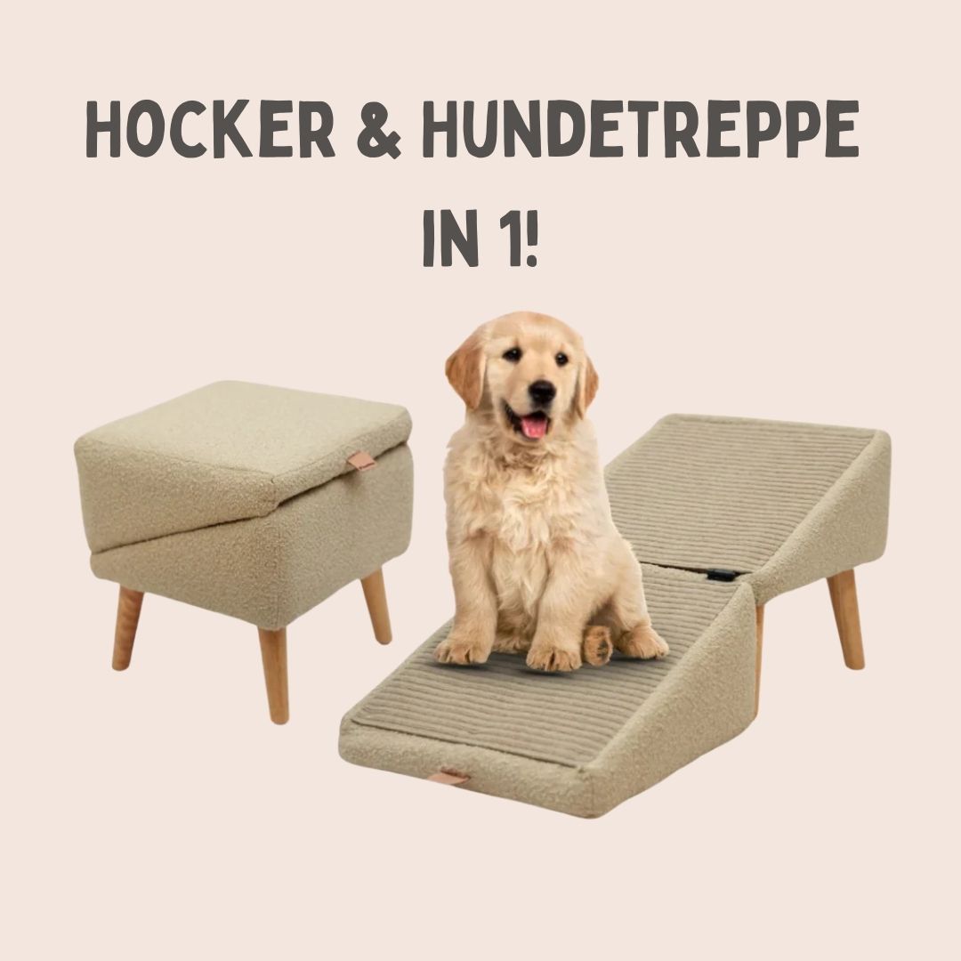 Hunde-Treppe für Bett & Sofa | Hund Rampen & Hocker in Einem | SofaFriend