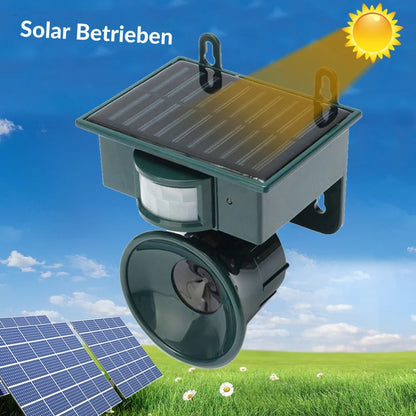 Scare Away Pigeons from Balcony & Garden | Bird Deterrent Device | BirdBlock