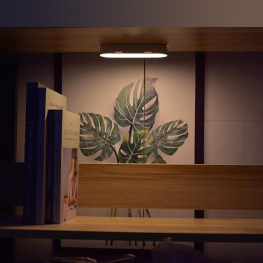 Wall Light for Indoor Use with Motion Sensor | Night Light with Battery | Wall Lamp | WandSchein