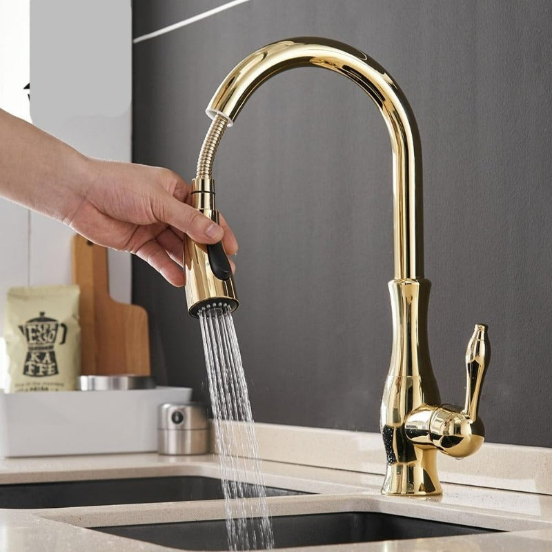 Kitchen Faucet | Pull-Out Kitchen Tap | Sink Faucet | AquaKraft
