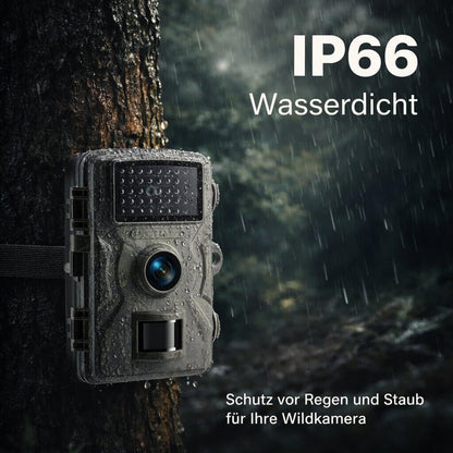 Wild Camera with Night Vision | Wildlife Camera | Wildora