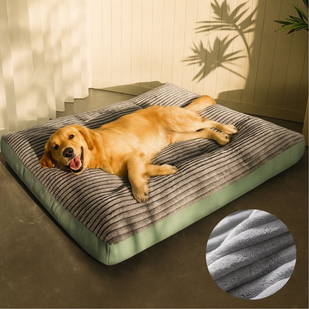 Orthopädisches Hundebett für große und kleine Hunde | Waschbares Hundekissen | WuffNest