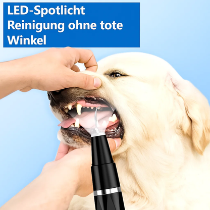 Zahnstein von Hunden & Katzen entfernen | Zahnpflege für Haustiere | Zahnreiniger | PlaqueFree