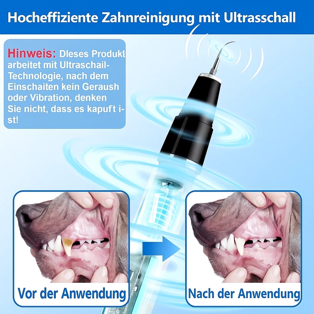 Zahnstein von Hunden & Katzen entfernen | Zahnpflege für Haustiere | Zahnreiniger | PlaqueFree
