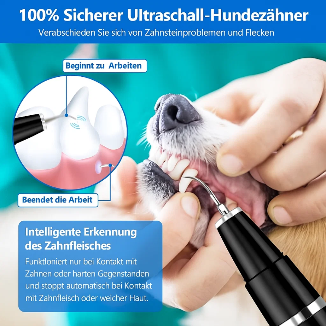 Remove Tartar from Dogs & Cats | Pet Dental Care | Tooth Cleaner | PlaqueFree